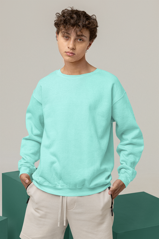 Men's Sweatshirt in Solid Mint